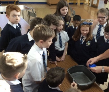 Floating And Sinking