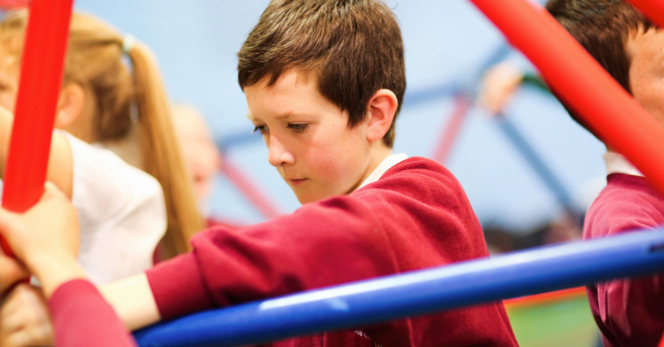 Sentinus Communities Workshops