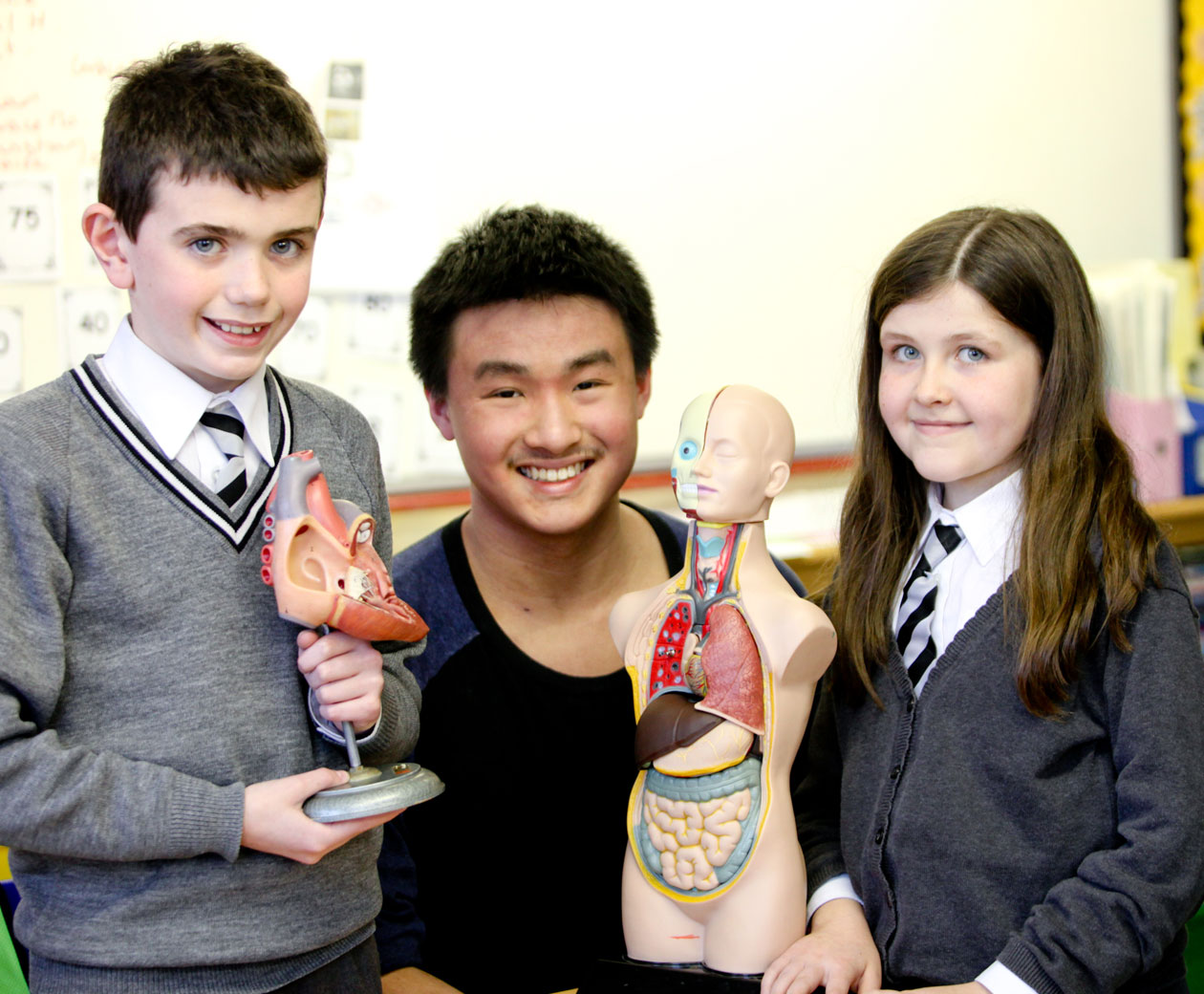 Medics in Primary Schools